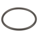 3/4 and 1 in. Poly T Strainer EPDM Gasket