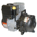 Banjo 2 in. Poly Pump with Gas Engine