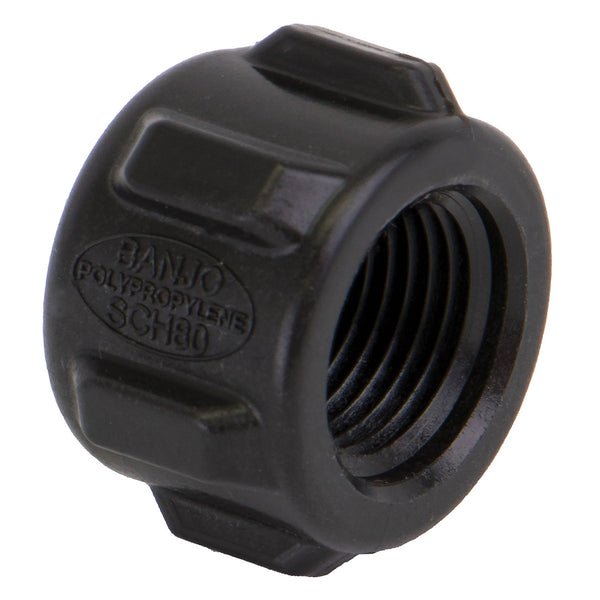 Banjo CAP038 Polypropylene Cap FPT 3/8 in. to 3 in. Sizes